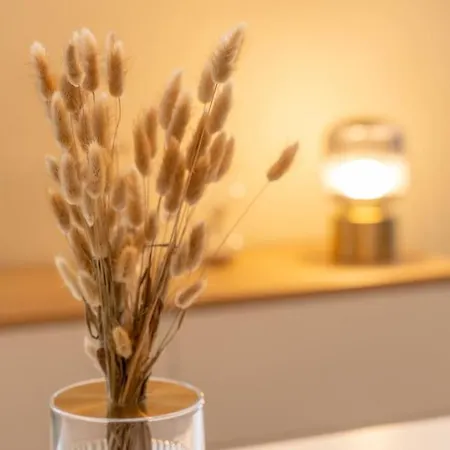 Daire 10 Min A Piedi Dalle Mura Con Ac E Wifi, Casa Gatsby Lucca